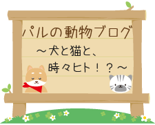 パルの動物ブログ　～犬と猫と、時々ヒト！？～